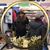 Francis Navarro's profile image