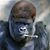 George Markez's profile image