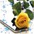 Elizabeth Writes's profile image