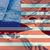 Mason Araujo's profile image