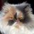 Katie Lappin Hiser's profile image