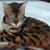 Vicki Longwell's profile image