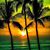 Paz Hopson Will's profile image