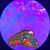 Shannon Crabtree's profile image
