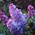 Wendy Newcomb's profile image