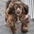 Lisa Letterman's profile image