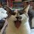 Heather L. Hamilton's profile image