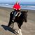Samantha Nance's profile image
