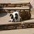 Sandi Woolman's profile image