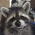 Heidi Hamlin-Sorenson's profile image