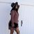 Rosa Cortes's profile image