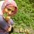 Zoha Alikhani's profile image