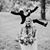 Carolann Wiesler's profile image