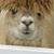 Brenda Burns's profile image