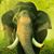 Lisa La Rosa's profile image