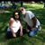 Gina Thoma's profile image