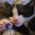 Adolf K Maas's profile image