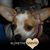 Jeanette O. Vivian's profile image