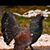 Michele Tjader's profile image