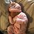 Candice D Graves's profile image