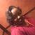 Katrina Minnefield's profile image