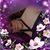 Maria D Llamas's profile image