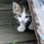 Rosemary Chapman's profile image