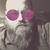 Chris Cook's profile image