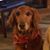 Charleen McNaught's profile image