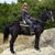 Lisa Moran's profile image