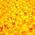 Debra Pelfrey's profile image