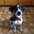 Diane Brennan's profile image