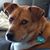 Carol Fischer Killian's profile image