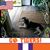 Sandi Sylvester Shokes's profile image