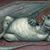 Valdor Dragoon's profile image