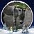 Terri Moore's profile image