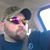 Chris Townsend's profile image