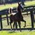 Tami Lankenau Johnson's profile image