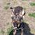 Mary Dee Grow's profile image