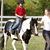Karen Straub Vandernoot's profile image