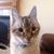 Mendi Baker's profile image