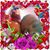 Melida Duarte's profile image