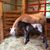Mary Brown's profile image
