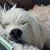 David Kotzur's profile image