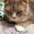 Maria Botta's profile image