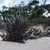 JoAnn Johnston's profile image
