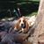Julie Hill's profile image