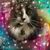Mary M Baldwin's profile image