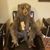 Trevis Stamper's profile image