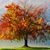 Vicki Robey's profile image
